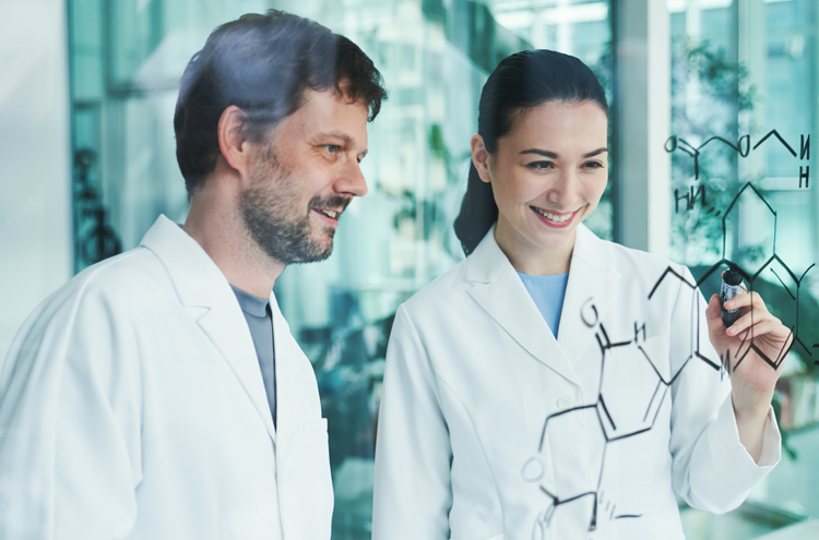 Investigación y Desarrollo