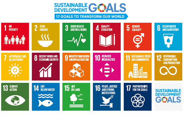 17 Sustainable Development Goals